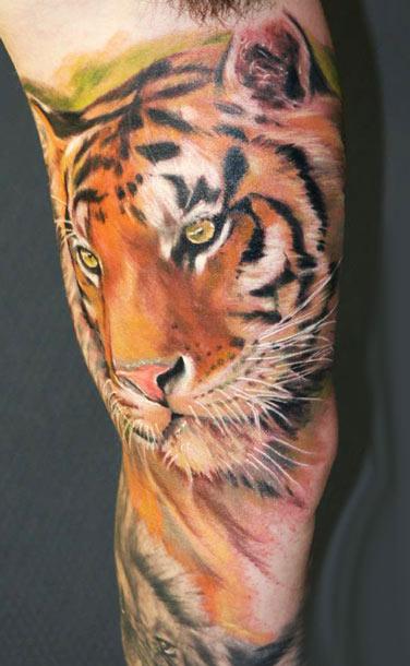 Tiger Tattoo on arm