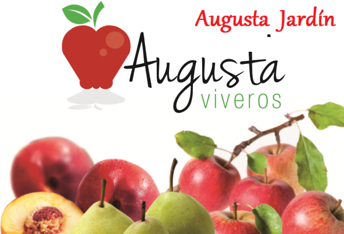 Comprar Olivos, Viveros de Frutales y de Vid Online en Augusta Jardín 