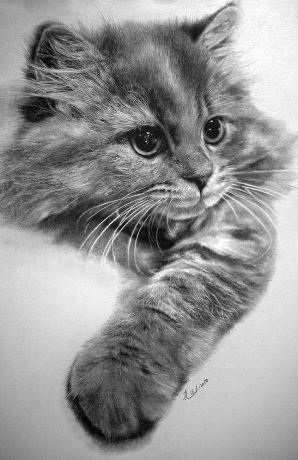 Photo-Realistic-Drawings-by-Paul-Lung