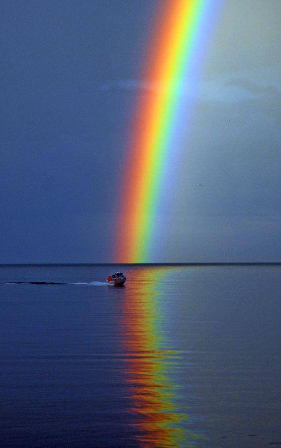 Amazing rainbow 