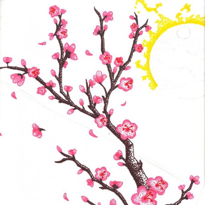 CHERRY BLOSSOMS DRAWING