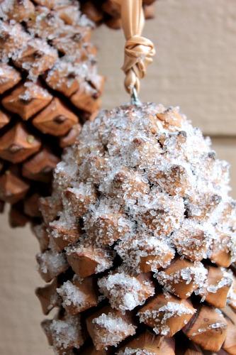 Clever Nest: Pine Cone Craftiness!
