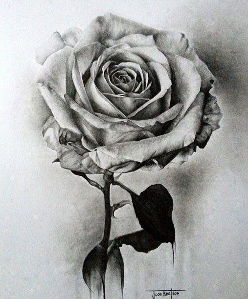 Beautiful Flower Drawings — Steemit-saigonsouth.com.vn