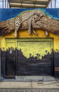 Melbourne Street Art over a garage