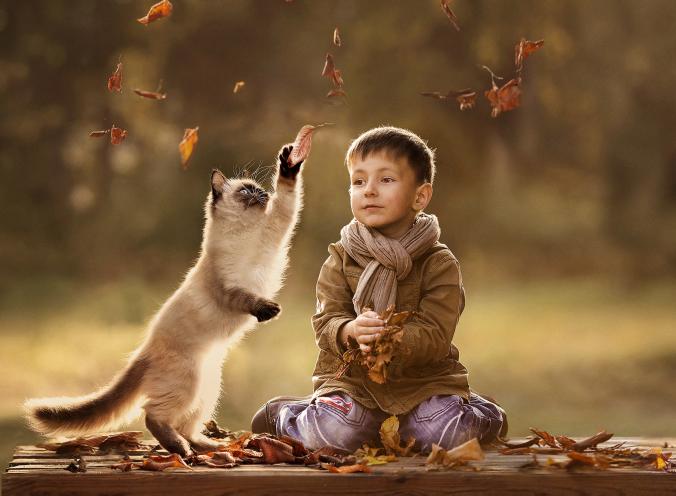 *** by Elena Shumilova / 500px