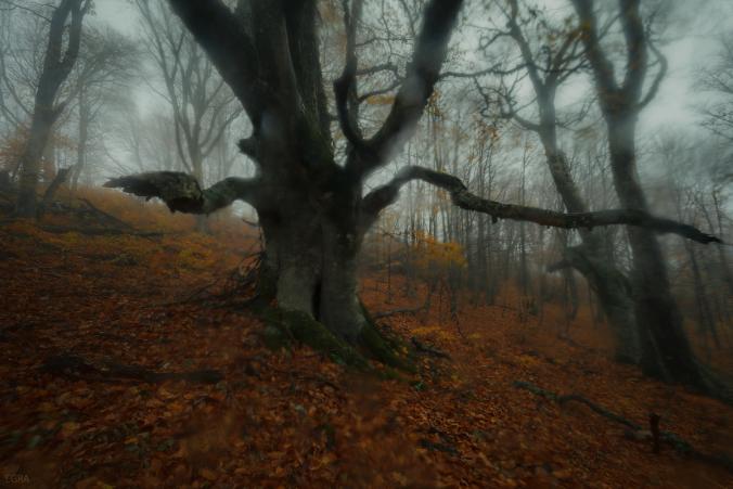 35PHOTO - EGRA - водный мир Демирджи