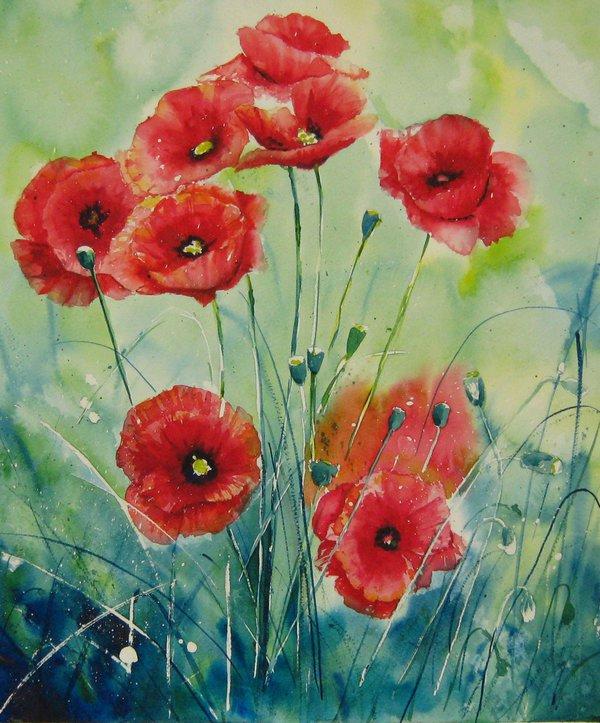 Poppies by patriszkarch