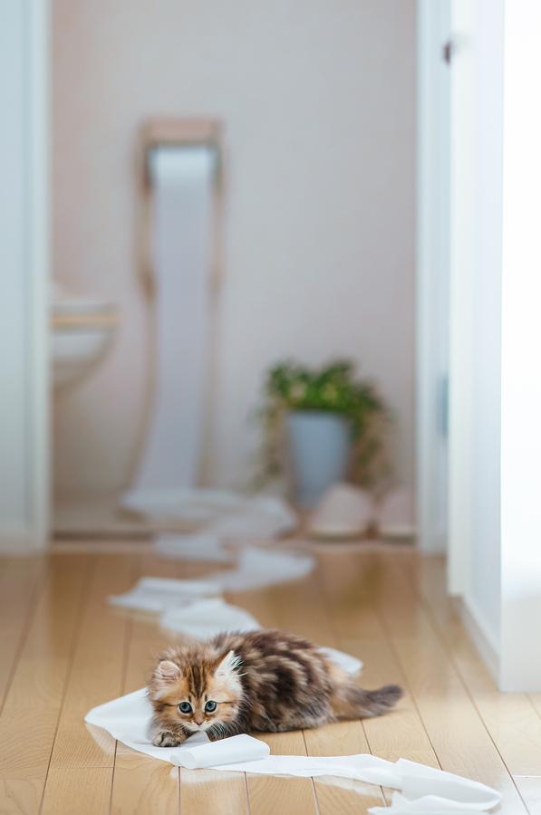 Toilet Training by Ben Torode / 500px