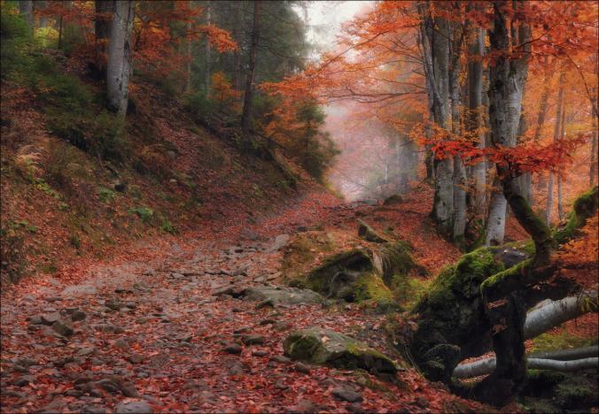 / Сонная лощина /. Автор: Влад Соколовский