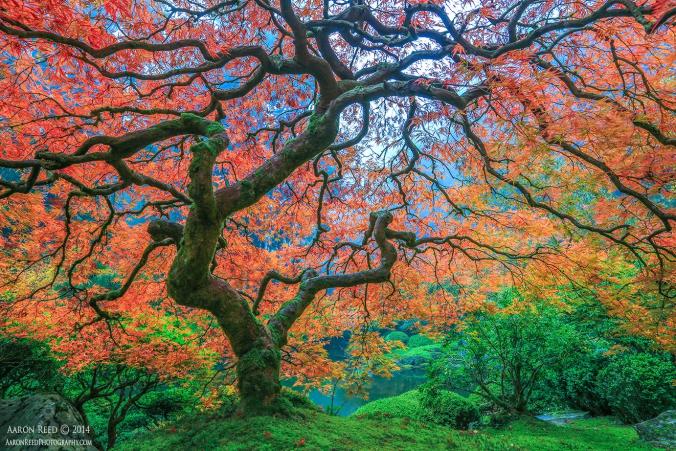 The Watcher by Aaron Reed / 500px