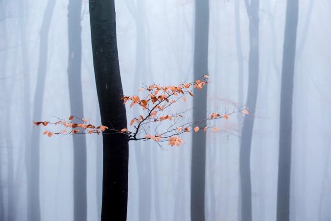 Waiting For Snow by Kristijan Jesenovic / 500px