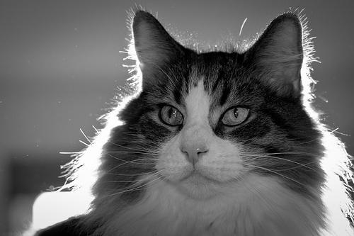 Jasper | Flickr - Photo Sharing!