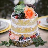 Mini Succulent Naked Cake