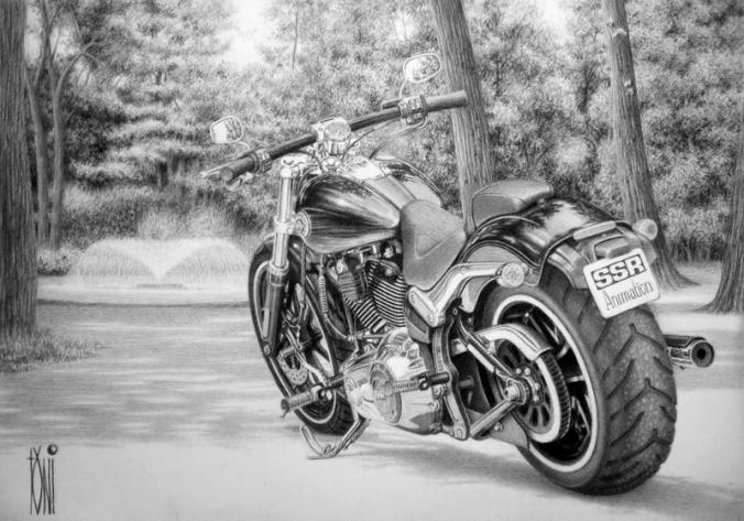 Harley Davidson Softail by toniart57