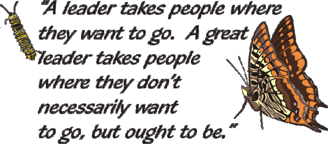 A leader takes people where they want to go. A great leader takes people where they don't necessarily want to go, but ought to be.