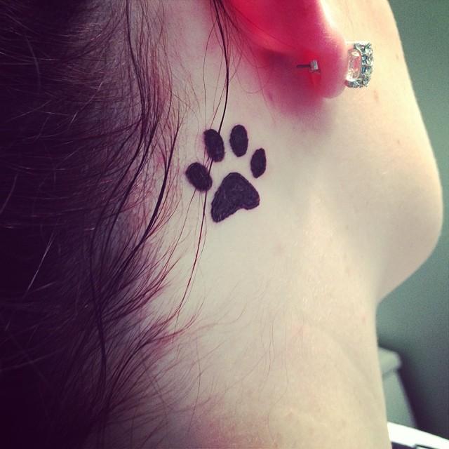 A paw print tattoo behinf the ear