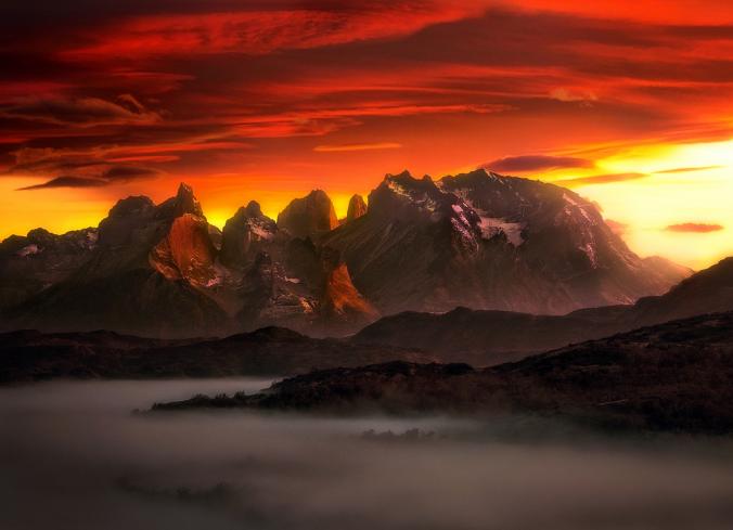 Pride of Patagonia (Explored) | Flickr