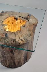 Tree Trunk Recycled in Coffee Table – Floor Lamp