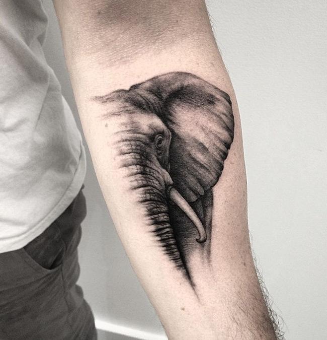Majestic Elephant tattoo