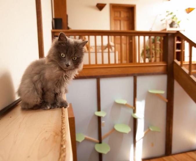 Designer “Catifies” a Human Home into a Playful Haven for Seven Felines - My Modern Met