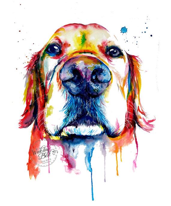 Colorful Golden Retriever Art Print  Print of my by WeekdayBest