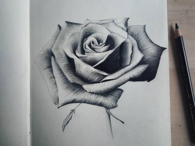 Drawing  It's made with an charcoal pencil and a black Polychromos.-Instagram
