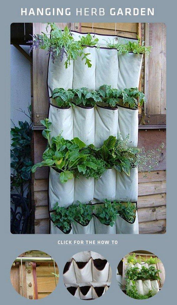 DIY Shoe Rack Hanging Herb Garden