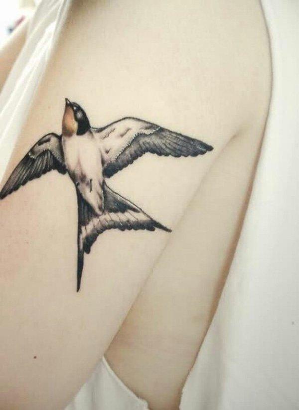 16 swallow tattoo