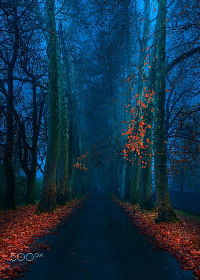 " Blue Pathway " by Mevludin Sejmenovic