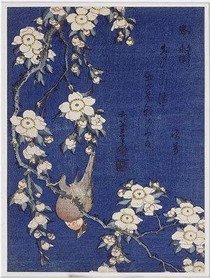 Bullfinch on Weeping Cherry by Hokusai