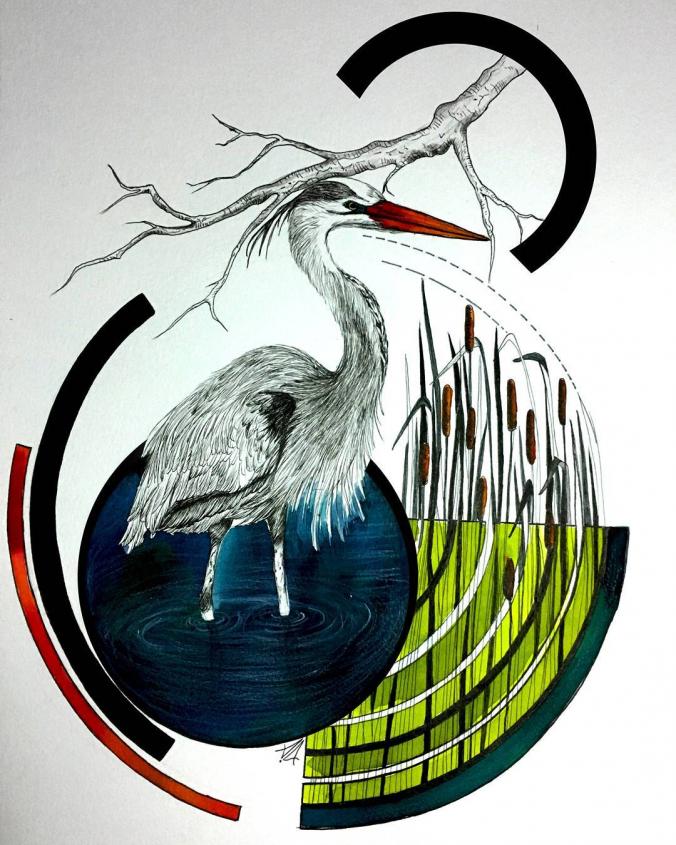 Heron drawing