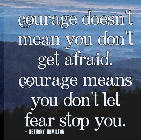 Courage doesn’t mean you don’t get afraid. Courage means you don’t let fear stop you.-Bethany Hamilton