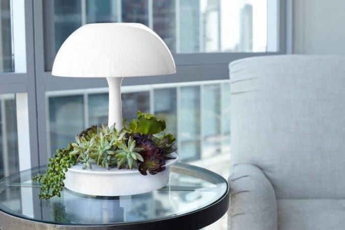 Ambienta Vegetal Table Lamp Table Lamps