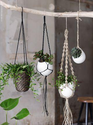 Amazing Hanging Planter Ideas