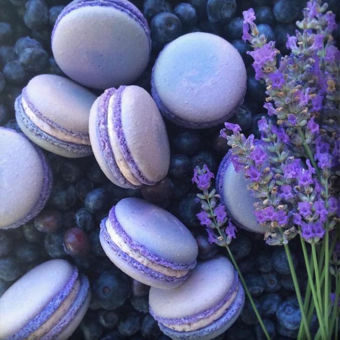 Gorgeous Blueberry Lavender Macarons