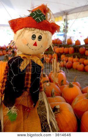 Cute Scarecrow