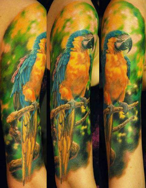 Realistic full colors Parrot tattoo art by Den Yakovlev