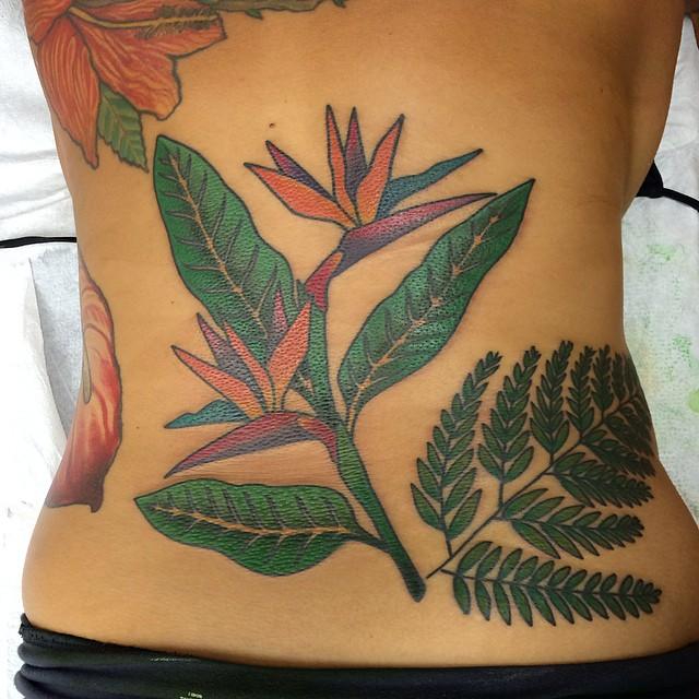 Traditional style fern and bird of paradise tattoo