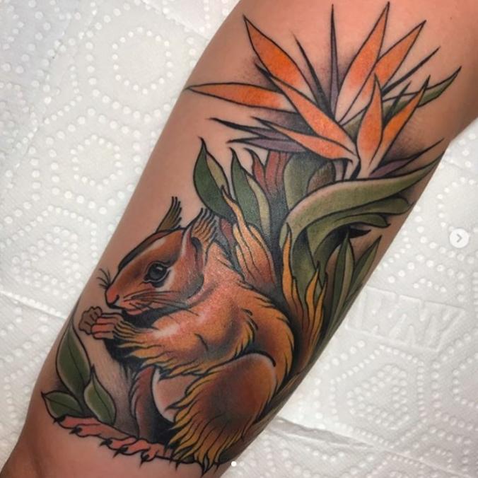 Squirrel and bird of paradise tattoo in traditional style