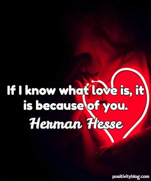 “If I know what love is, it is because of you.”
— Herman Hesse