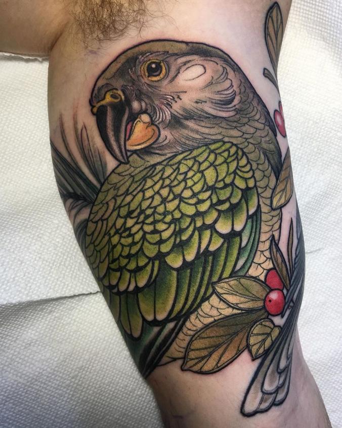 Pirate parrots tattoo