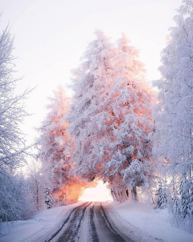 Beautiful capture of light and snow