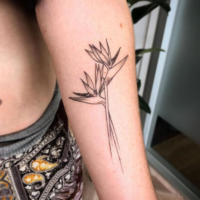 Daniele Lugli | Tattoo artist on Instagram: “Bird of paradise for Hannah 