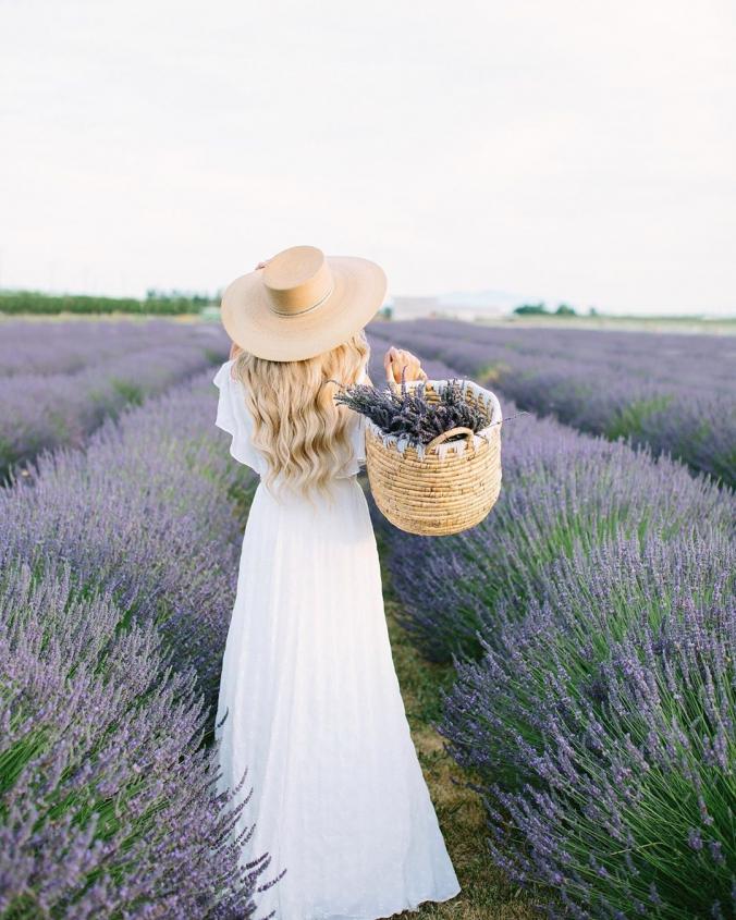 Stephanie Danielle on Instagram ：“Can you smell the lavender? 
