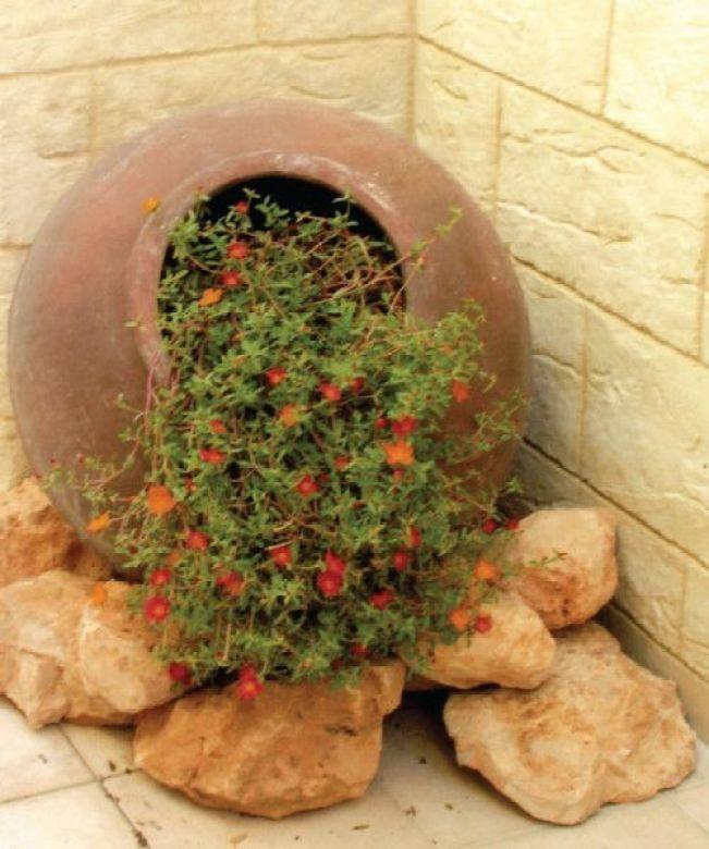 Clay pots, decorative stone and flowers – 28 ideas for the most unlikely garden design
