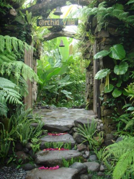 Um jardim para cuidar: Inspirações para um jardim tropical ..