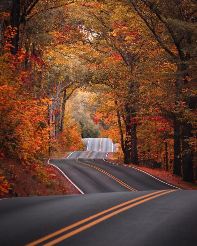 RYAN RESATKA on Instagram ：“This time of year is my favorite to @visitnh 