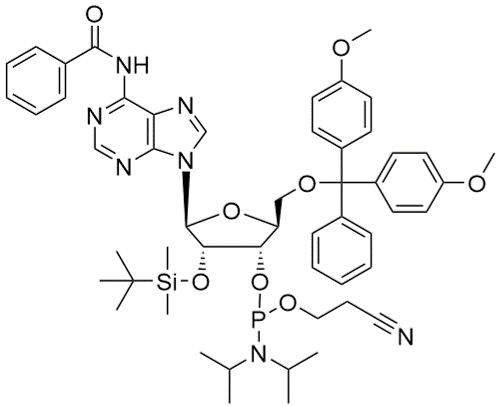 CAS 1803193-36-3 5'-O-DMT-2'-O-TBDMS-N6-Benzoyl-L-Adenosine 3'-CE phosphoramidite - RNA / BOC Sciences