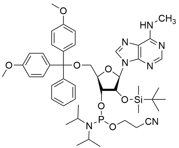 CAS 588698-79-7 5'-O-DMT-2'-O-tert-Butyldimethylsilyl-N6-methyl-adenosine 3'-CE phosphoramidite - RNA / BOC Sciences