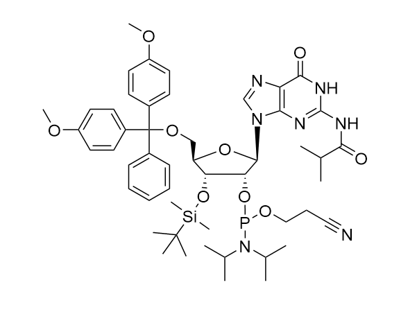 CAS 1445905-51-0 3'-O-tert-Butyldimethylsilyl-5'-O-DMT-N2-isobutyrylguanosine 2'-CE phosphoramidite - RNA / BOC Sciences